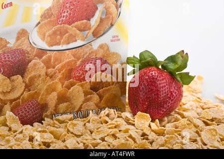 Müslischachtel mit Corn Flakes-Frühstück für Kinder mit roter Erdbeere von oben Bilder Fotos Verkauf auf alamy horizontal in USA US hochauflösend Stockfoto