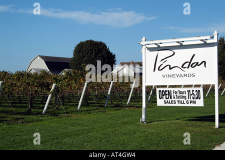 Pindar Weinberge am Peconic auf Long Island New York USA Stockfoto