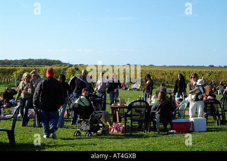 Pindar Weinberge am Peconic auf Long Island New York USA. Besucher, die Weinprobe in den Weinbergen Stockfoto