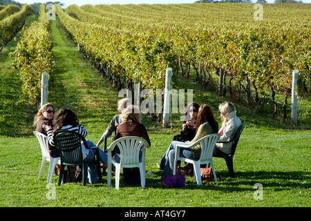 Pindar Weinberge am Peconic auf Long Island New York USA. Besucher, die Weinprobe im Weinberg Stockfoto