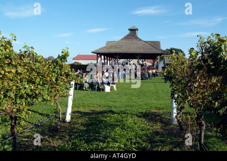 Pindar Weinberge am Peconic auf Long Island New York USA. Besucher, die Verkostung inmitten von Reben Stockfoto