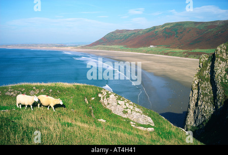 Rhossili Strand an Rhossili Bucht an der Gower-Halbinsel, West Glamorgan, in der Nähe von Swansea in Süd-Wales, UK Stockfoto