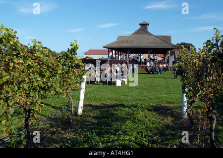 Pindar Weinberge am Peconic auf Long Island New York USA. Besucher, die Verkostung inmitten von Reben Stockfoto