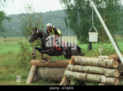 Pferdesport Stockfoto