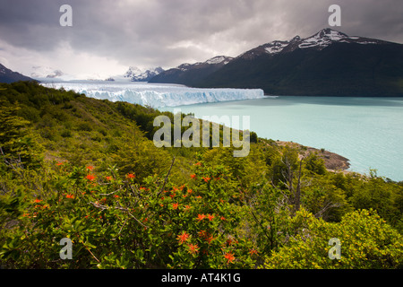 Perito Moreno Gletscher, Nationalpark Los Tundrazone, Argentinien Stockfoto