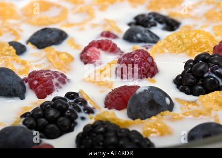 Getreide Cornflakes mit Beerenfrüchten in der Schüssel Milch Nahaufnahme Bilder Bilder Fotos große hohe Auflösung horizontal in den USA USA Hi-res Stockfoto