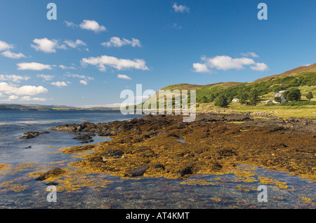 Gezeitenbecken und Algen am Ufer der Kilchoan Bucht auf Ardnamurchan Halbinsel westlich von Fort William, western Highlands, Schottland Stockfoto