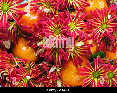 Orange Frucht Nahaufnahme Bilder Bilder Fotos Fotos über dem Kopf große hohe Auflösung horizontal in den USA Hi-res Stockfoto
