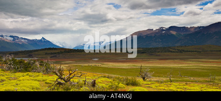 Sommerwiesen in der Nähe von Nationalpark Los Tundrazone, Argentinien Stockfoto