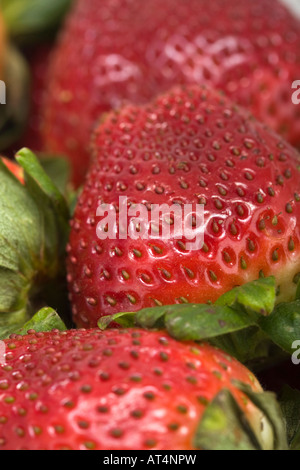 Nahaufnahme von Reifen Bio-Erdbeeren-Früchten, die auf dem Markt von oben verkauft werden verschwommener Hintergrund niemand vertikal in den USA Hi-res Stockfoto