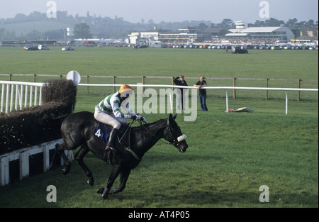 Pferd im Hindernislauf bei Stratford Rennen, Warwickshire, England, UK Stockfoto