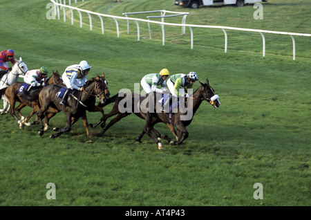 Rennpferde bei Stratford Rennen, Warwickshire, England, UK Stockfoto