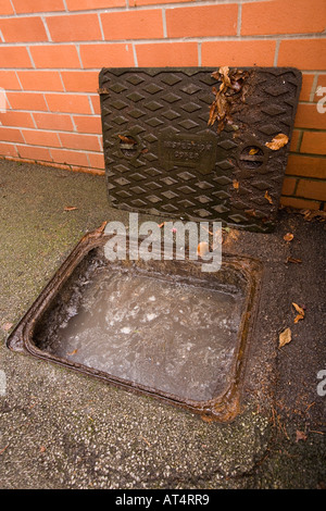 innenpolitische Probleme blockiert Abfluss Inspektion Kammer voller Abwasser Stockfoto