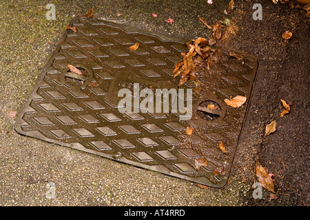 innenpolitische Probleme Haushalt Abfluss Inspektion Kammer abgedeckt Stockfoto