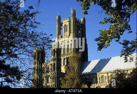 Kathedrale von Ely, Cambridgeshire, England, UK Stockfoto