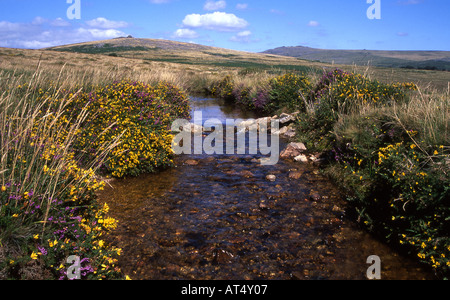 Windypost Cross nahe dem Rand des Whitchurch Common, Dartmoor Stockfoto