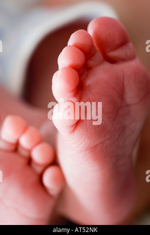 Babys Füße Stockfoto