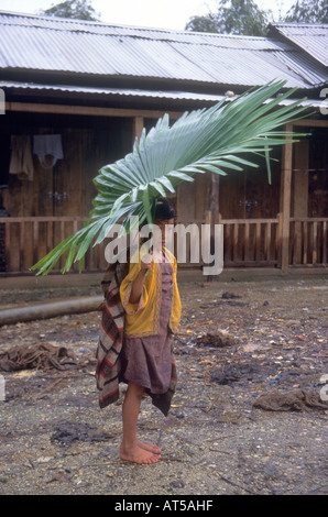Not macht erfinderisch! Junge in Assam, Indien, Unterstände aus dem Monsun regnet unter einen großen Palmzweig Stockfoto