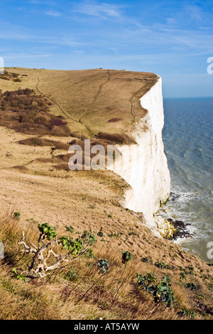 White Cliffs Küste Dover Kent England UK Europe Stockfoto