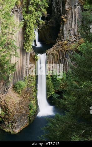 Toketee Falls am North Umpqua River in Oregon. USA Stockfoto