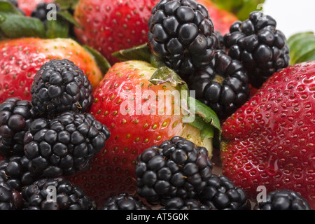 Brombeeren Obst Nahaufnahme Bilder Fotos Fotos von oben oben oben große hohe Auflösung horizontal in den USA Hi-res Stockfoto