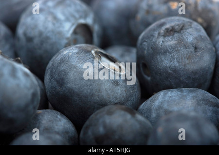 Heidelbeeren Obst, das auf dem Bauernmarkt verkauft wird, Nahaufnahme von oben verschwommener Hintergrund niemand horizontal in den USA ist hochauflösend Stockfoto