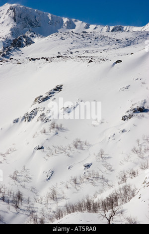 Abseits der Pisten in Campanelle Ghisoni Korsika Frankreich Stockfoto