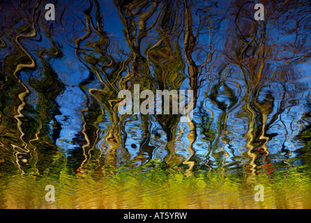 Faszinierende Baum Reflexionen über einen Fluss in Irland Stockfoto