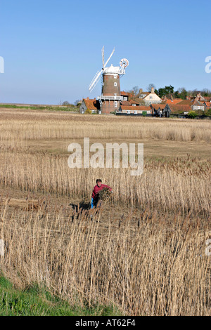 Reed-Fräser bei der Arbeit in der Nähe von Cley Mühle North Norfolk UK Stockfoto