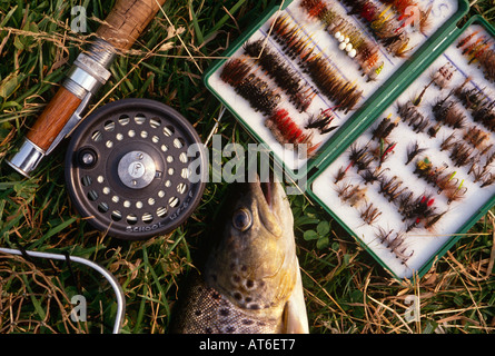 Fliegenfischen auf dem Fluss Test in Hampshire, England Stockfoto