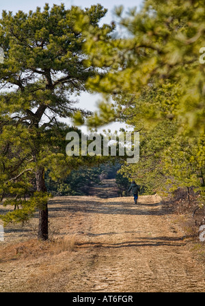 kleiner Junge rennt weg auf einem ländlichen Weg durch den Wald zwischen den Bäumen mit einem blauen Himmel Stockfoto
