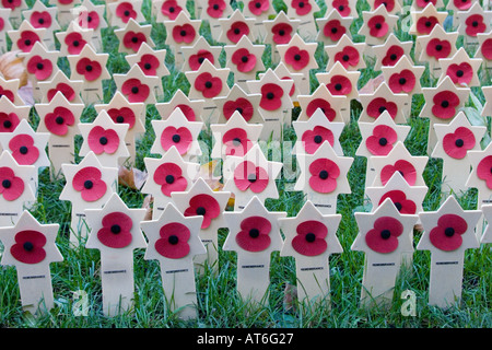 Kreuze und Mohn im Feld der Erinnerung in der Westminster Abbey, London zum Gedenken an Krieg tot Stockfoto