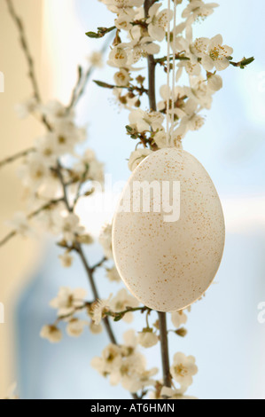 Osterei hängen von Kirschblüte Zweig, Nahaufnahme Stockfoto