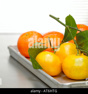 Mandarinen auf Tablett, Nahaufnahme Stockfoto