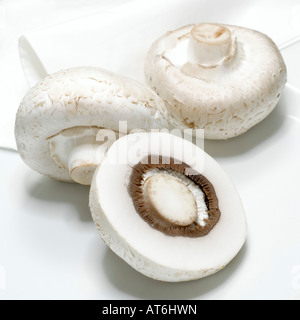 Weiße Champignons, close-up Stockfoto