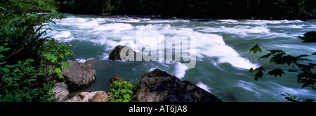 Frühling-Stichwahl in Chilliwack River in den Fraser Valley von Südwesten von British Columbia Kanada Stockfoto