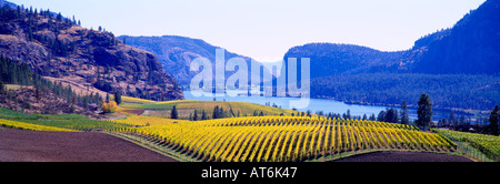 Weinberge und Landschaft im Herbst am Vaseux-See im Süden Okanagan Valley in British Columbia Kanada Stockfoto