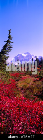 Mt Shuksan über "Heather Wiesen" Almwiese im Mount Baker - Snoqualmie National Forest Area, Washington USA - Herbst, Herbst Stockfoto