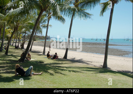 Airlee, beach, Queensland, Australien, in der Nähe der, Whitsunday islands, Tropical, Paradies, blau, Himmel, Meer, Palmen, Baum, Bäume, Rel Stockfoto