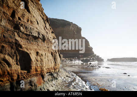 Cliff Felsenküste mit Algen Torrey Pines State Reserve, San Diego County, Kalifornien, USA Stockfoto
