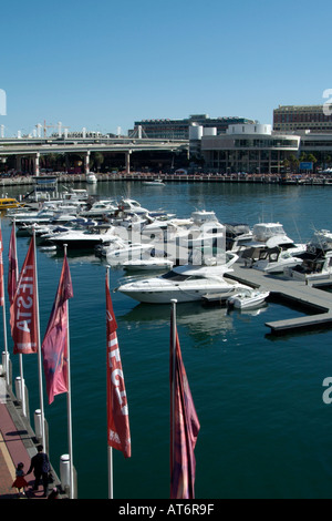 Boote Yachten ankern Liegeplatz Liegeplätze auf den darling Harbour Sydney Australia Marina Bootfahren Segel Segeln Stockfoto
