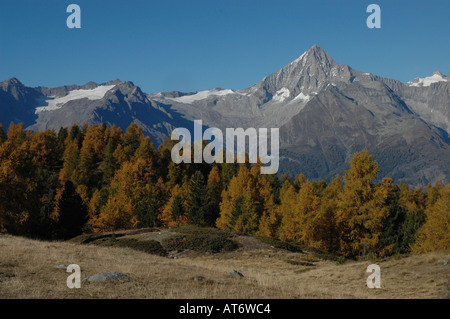 Mount Bietschhorns im Berner Alpen von Süden Herbst Kanton Wallis oder Wallis Schweiz gesehen Stockfoto