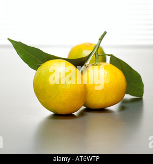 Clementinen, close-up Stockfoto