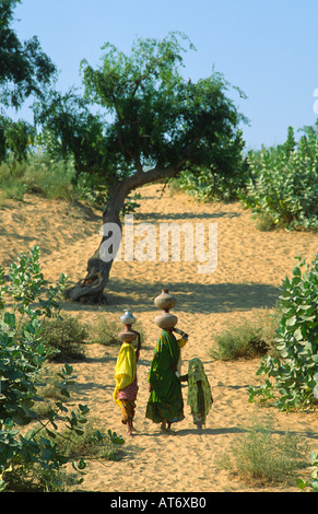 Mutter und Töchter, die von einem Wüstenbrunnen nach Hause gehen und kostbares Wasser in Doppeltöpfen auf dem Kopf tragen.Nr. Islamkot, Thar Parkar, Pakistan Stockfoto