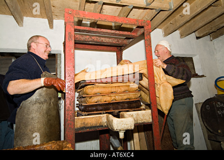 Ein Bauer, der Äpfel in einer kleinen Presse presst, um Apfelwein und Jiuce zu machen. Devon, Großbritannien Stockfoto