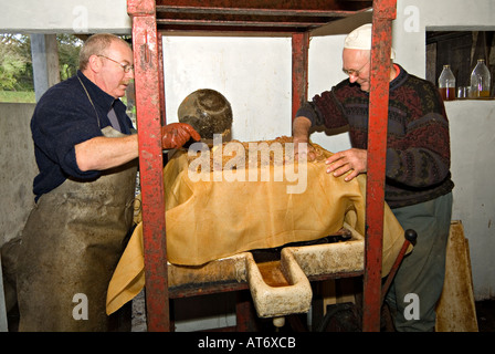 Ein Bauer, der Äpfel in einer kleinen Presse presst, um Apfelwein und Jiuce zu machen. Devon, Großbritannien Stockfoto