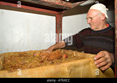 Ein Bauer, der Äpfel in einer kleinen Presse presst, um Apfelwein und Saft zu machen. Devon, Großbritannien Stockfoto