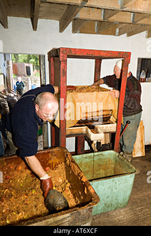 Ein Bauer, der Äpfel in einer kleinen Presse presst, um Apfelwein und Jiuce zu machen. Devon, Großbritannien Stockfoto