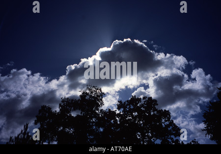 Wolken über Bäume UK Stockfoto