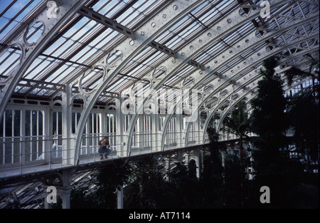 Im Inneren der gemäßigten Haus Kew Gardens Surrey England UK Stockfoto